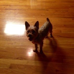 Meet your Posher, Angela